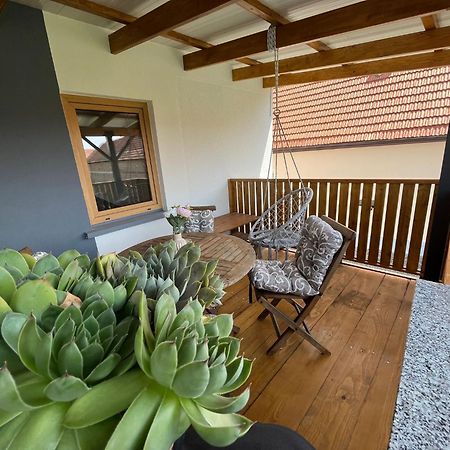 Apartman Mara Mala Subotica Eksteriør billede